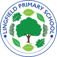 Lingfield Primary School Association
